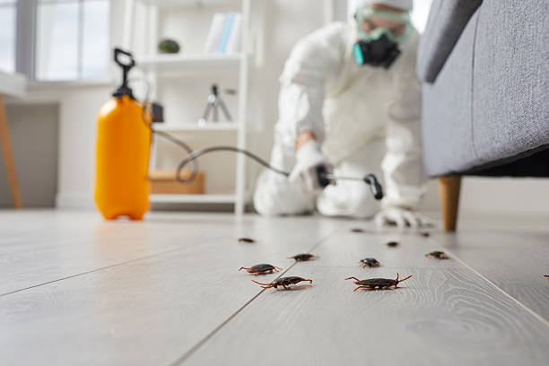 Commercial Kitchen Cockroach Control in Everson